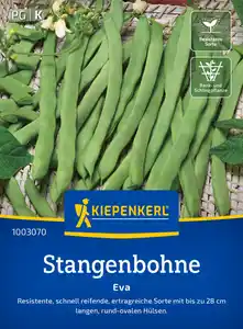 Kiepenkerl Saatgut Stangenbohnen Eva für ca. 15 Stangen