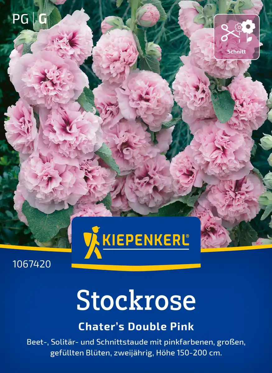 Bild 1 von Kiepenkerl Blumensamen Stockrosen Chater’s Double Pink für ca. 30 Pflanzen