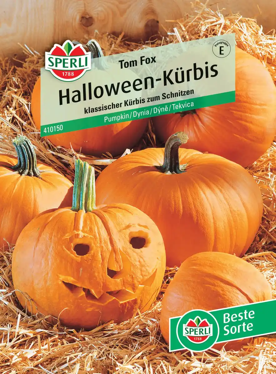 Bild 1 von Sperli Halloween-Kürbis Tom Fox