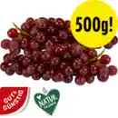 Bild 1 von Tafeltrauben rot