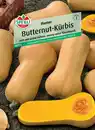 Bild 1 von Sperli Butternutkürbis Hunter F1