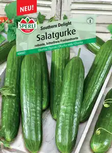 Sperli Salatgurke Southern Delight F1
