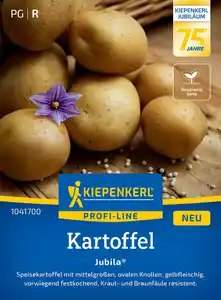 Kiepenkerl Profi-Line Saatgut Kartoffel Jubila für ca. 7 Pflanzen