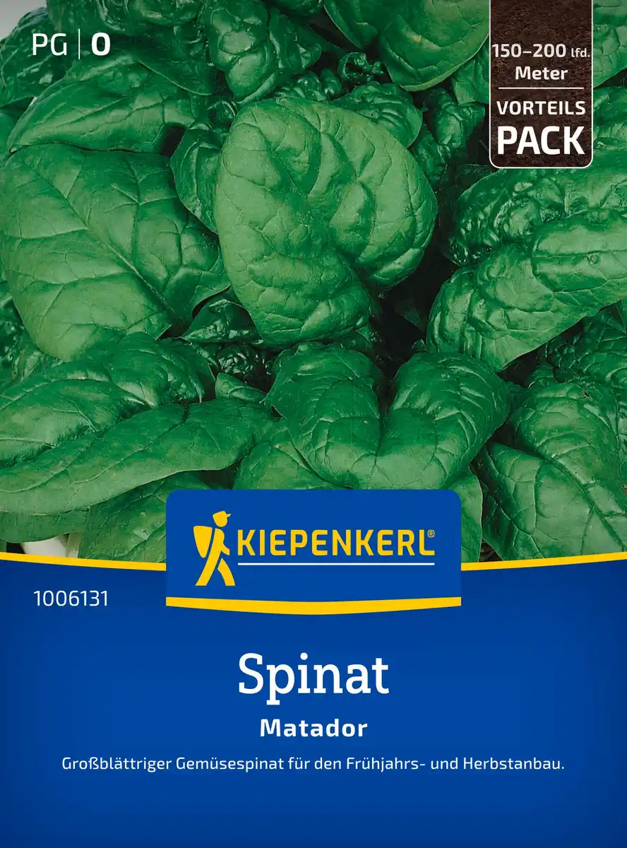 Bild 1 von Kiepenkerl Saatgut Spinat Matador Vorteilspackung für ca. 2 – 3 m²