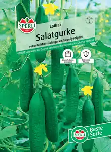 Sperli Salatgurke Lothar F1