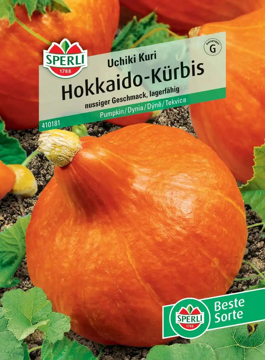 Bild 1 von Sperli Hokkaido-Kürbis Uchiki Kuri