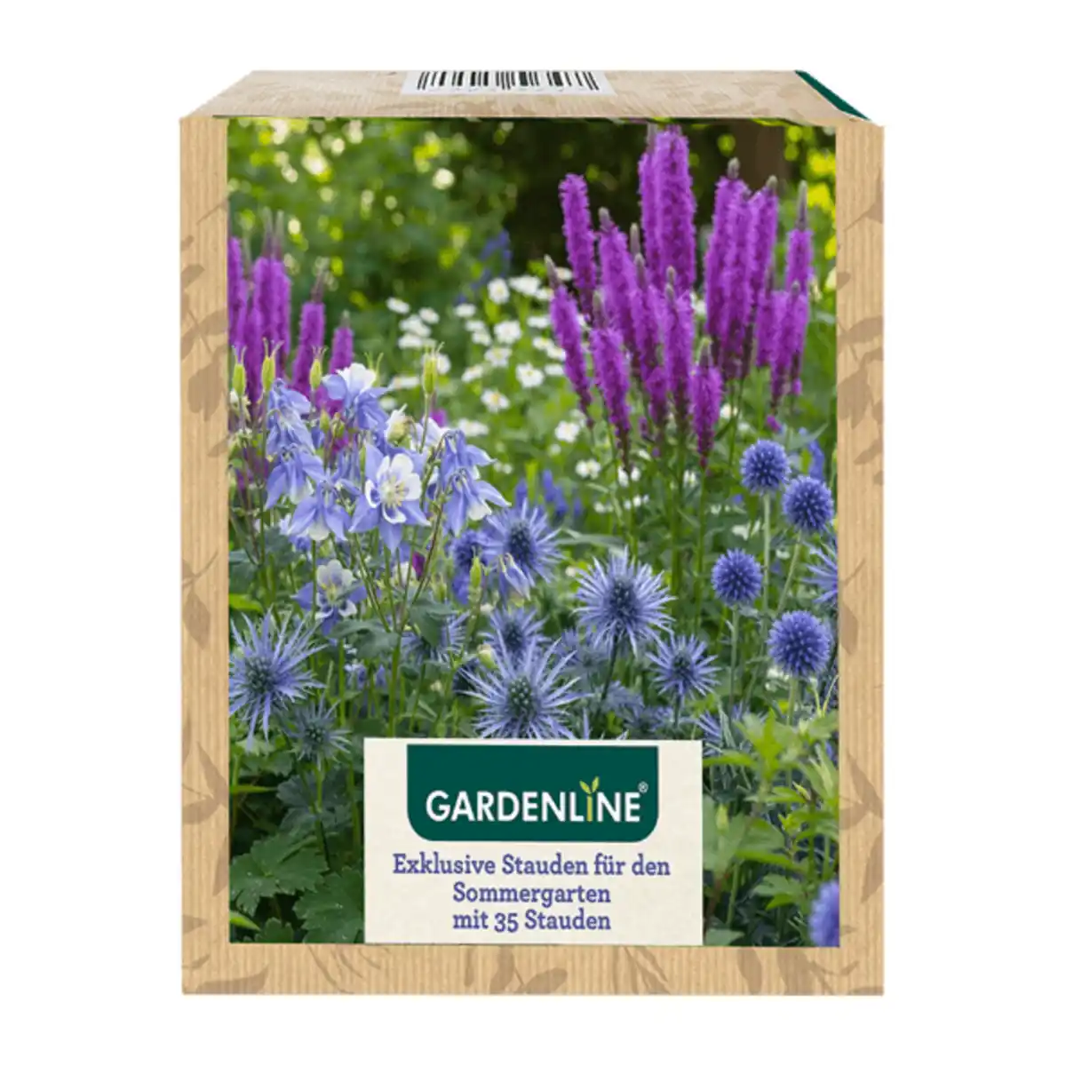 Bild 2 von GARDENLINE Stauden für den Sommergarten
