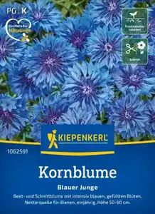Kiepenkerl Blumensamen Kornblume Blauer Junge für ca. 80 Pflanzen