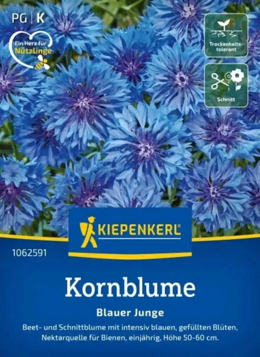 Bild 1 von Kiepenkerl Blumensamen Kornblume Blauer Junge für ca. 80 Pflanzen