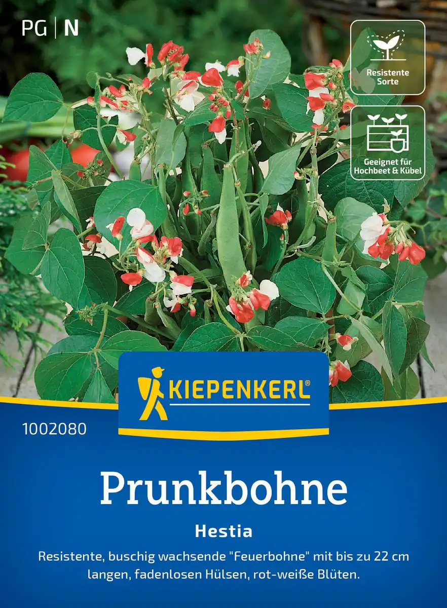 Bild 1 von Kiepenkerl Saatgut Prunkbohnen Hestia für ca. 35 Pflanzen