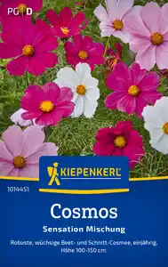 Kiepenkerl Blumensamen Cosmos Sensation Mischung für ca. 40 Pflanzen