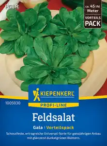 Kiepenkerl Profi-Line Saatgut Feldsalat Gala Vorteilspackung für ca. 4 – 7,5 m²