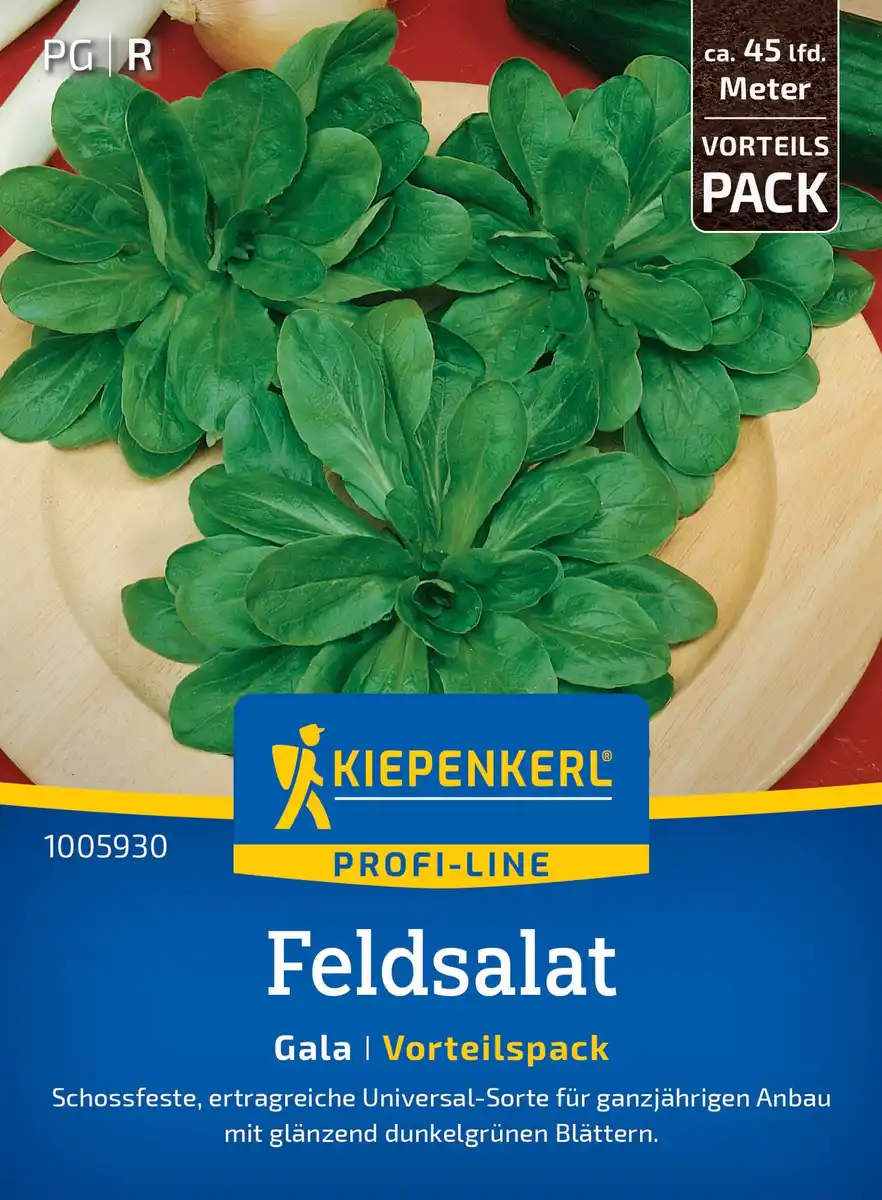 Bild 1 von Kiepenkerl Profi-Line Saatgut Feldsalat Gala Vorteilspackung für ca. 4 – 7,5 m²