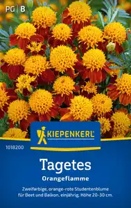 Kiepenkerl Blumensamen Tagetes Orangeflamme für ca. 50 Pflanzen