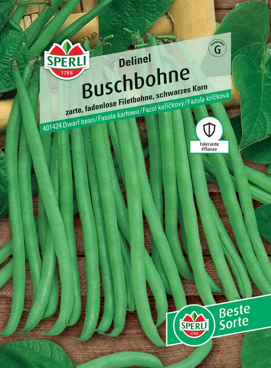 Bild 1 von Sperli Buschbohne Delinel