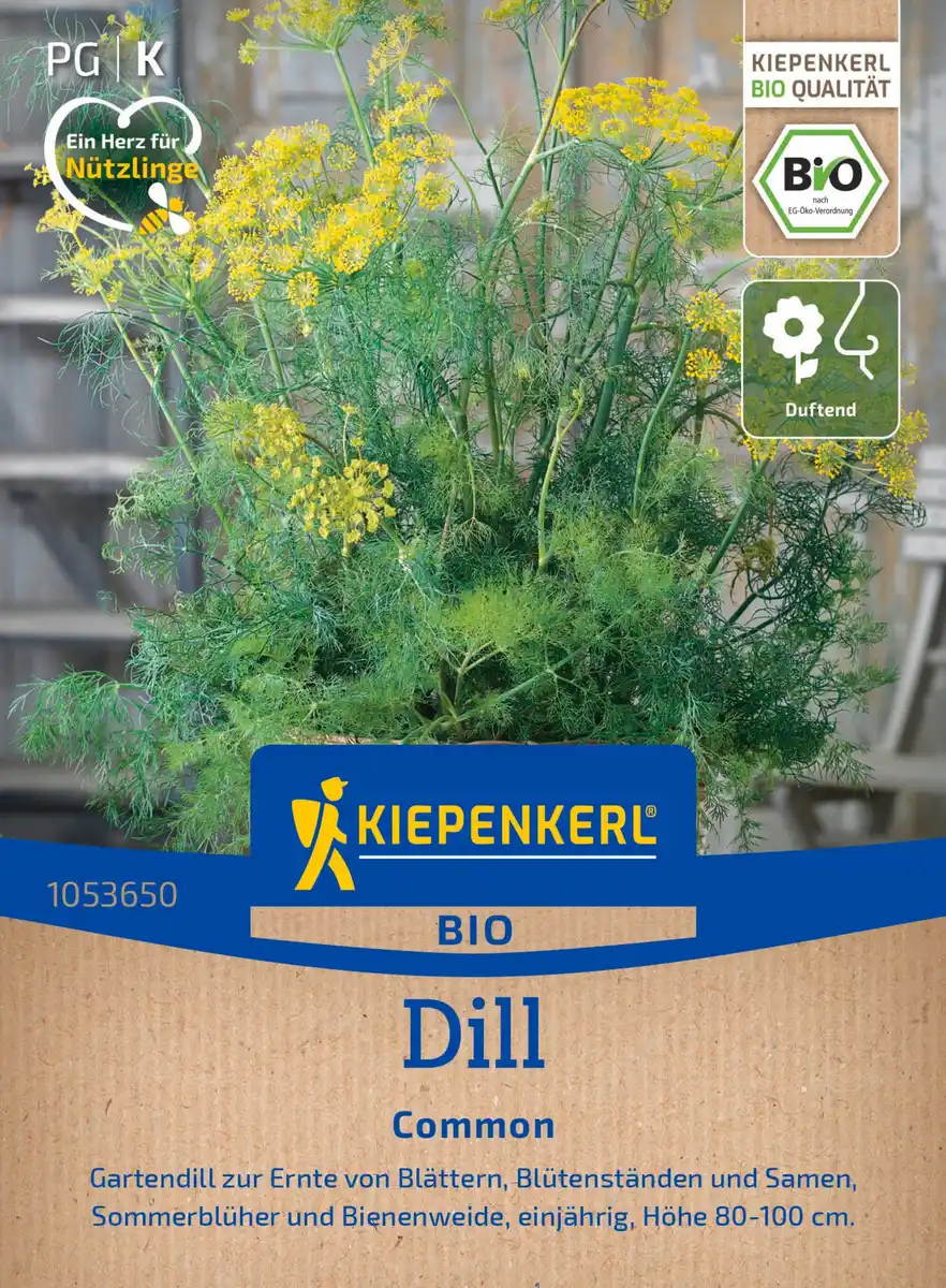 Bild 1 von Kiepenkerl Saatgut BIO Dill für ca. 900 Pflanzen