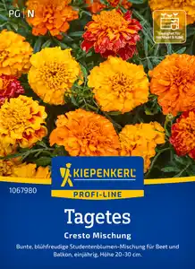 Kiepenkerl Profi-Line Blumensamen Tagetes Cresto Mischung für ca. 60 Pflanzen