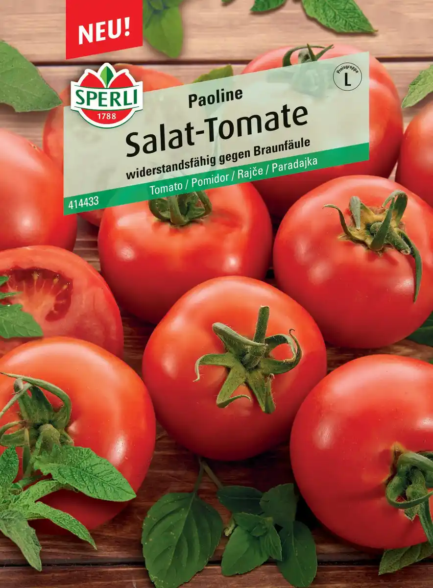 Bild 1 von Sperli Salattomate Paoline F1