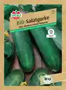 Bild 1 von Sperli BIO Salatgurke Freiland
