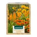 Bild 4 von GARDENLINE Stauden für den Sommergarten