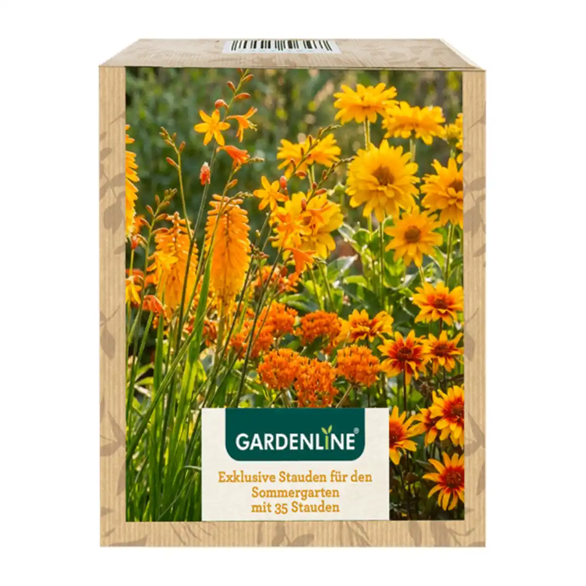 Bild 4 von GARDENLINE Stauden für den Sommergarten