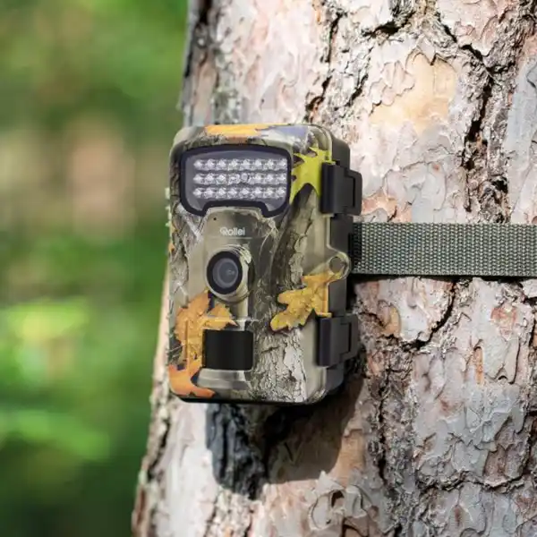 Bild 3 von ROLLEI Wildkamera
