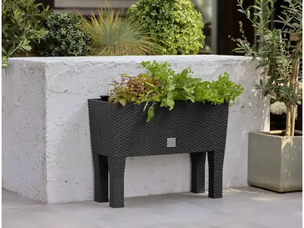 Bild 2 von PARKSIDE® 2-in-1-Hochbeet, 30 l