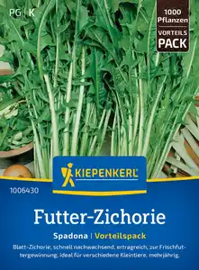 Kiepenkerl Futter-Zichorie Spadona Vorteilspackung für ca. 1000 Pflanzen