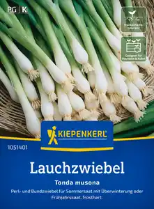Kiepenkerl Saatgut Lauchzwiebel Tonda musona für ca. 1 – 1,5 m²