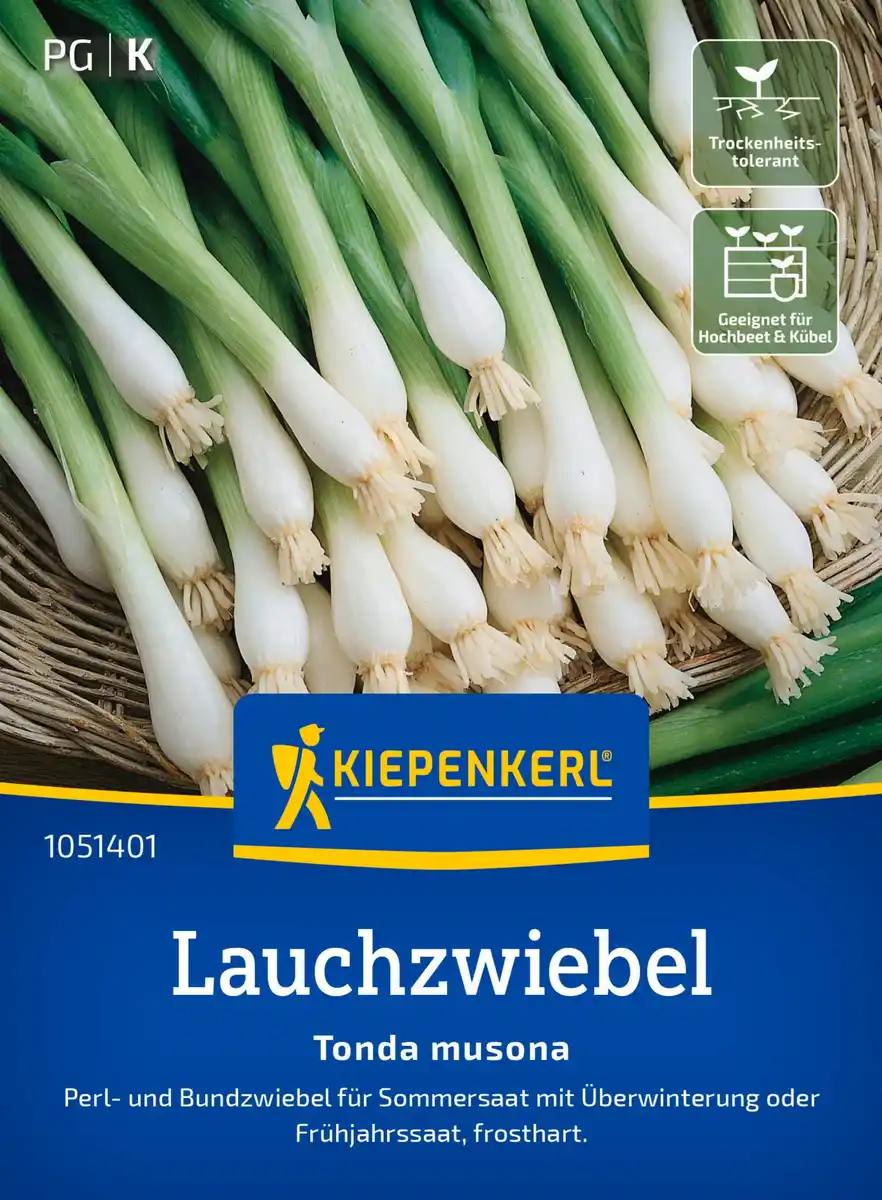 Bild 1 von Kiepenkerl Saatgut Lauchzwiebel Tonda musona für ca. 1 – 1,5 m²