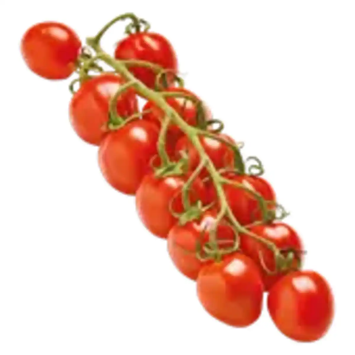 Bild 1 von Mini-Pflaumenrispentomaten