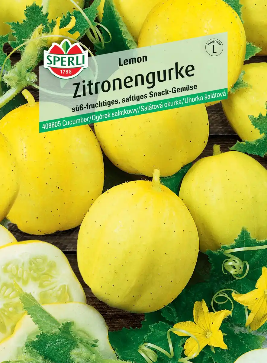 Bild 1 von Sperli Zitronengurke Lemon