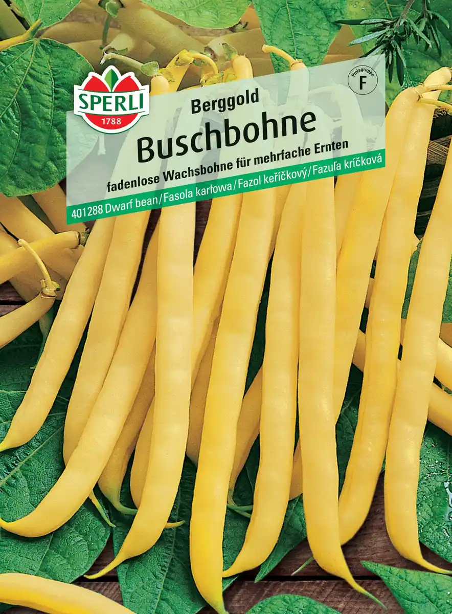 Bild 1 von Sperli Buschbohne Berggold