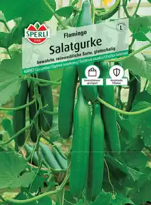 Sperli Salatgurke Flamingo F1