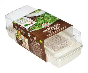 Sperli Bio Microgreen Duo-Box Anzuchtset Kresse Rauke