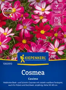 Kiepenkerl Blumensamen Cosmos Cosimo für ca. 30 Pflanzen
