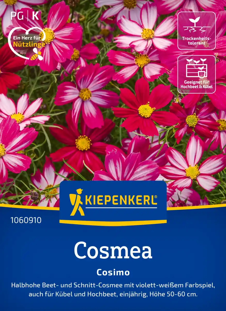 Bild 1 von Kiepenkerl Blumensamen Cosmos Cosimo für ca. 30 Pflanzen
