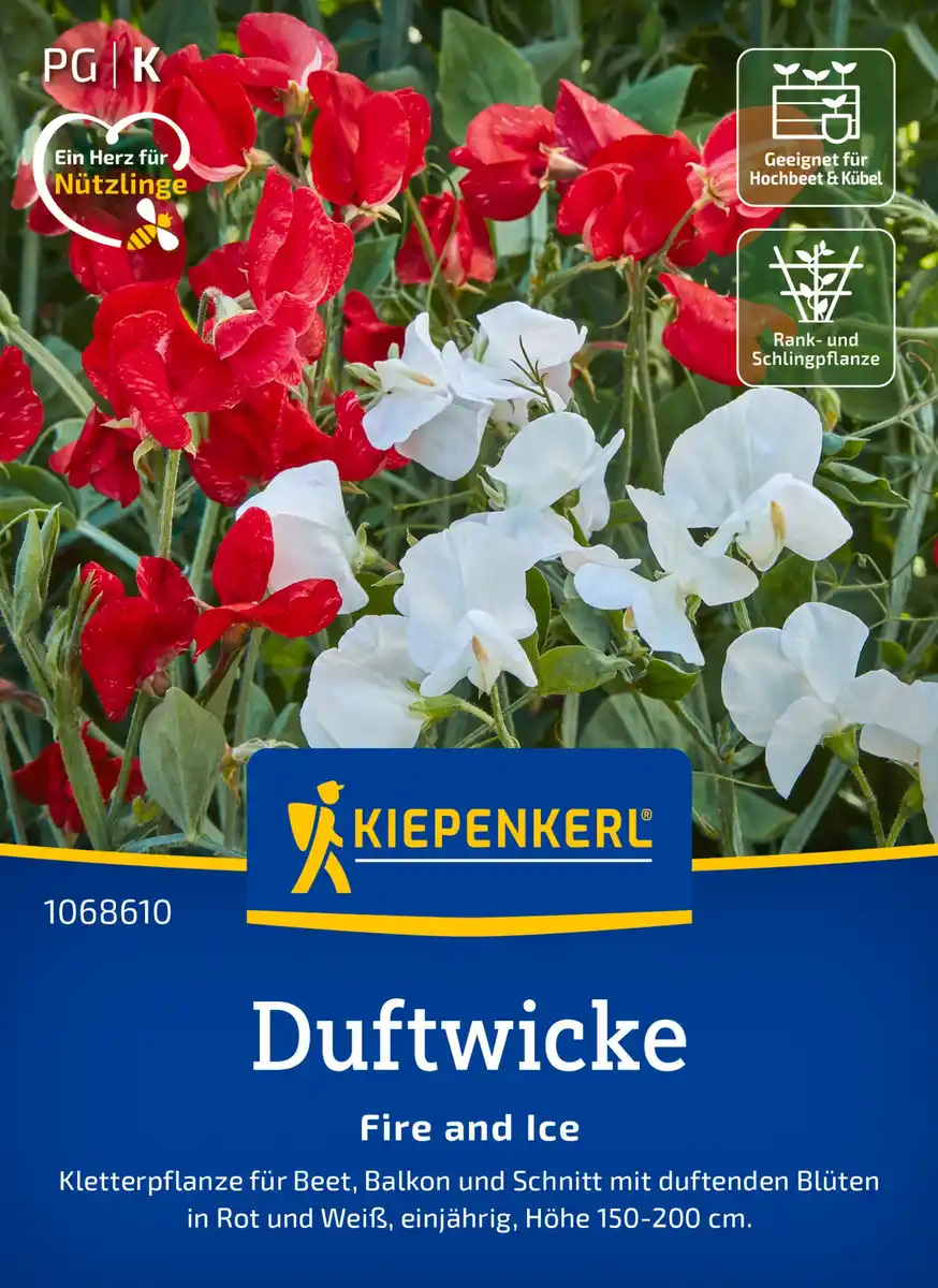 Bild 1 von Kiepenkerl Blumensamen Duftwicke Fire and Ice für ca. 25 Pflanzen