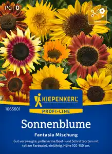 Kiepenkerl Profi-Line Blumensamen Sonnenblumen Fantasia Mischung F1 für ca. 20 Pflanzen