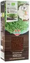 Bild 1 von Sperli BIO Microgreen-Saat Kresse