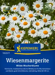 Kiepenkerl Blumensamen Wiesenmargeriten Wilde Wucherblume für ca. 300 Pflanzen