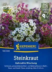 Kiepenkerl Blumensamen Steinkraut Aphrodite Mischung für ca. 50 Pflanzen