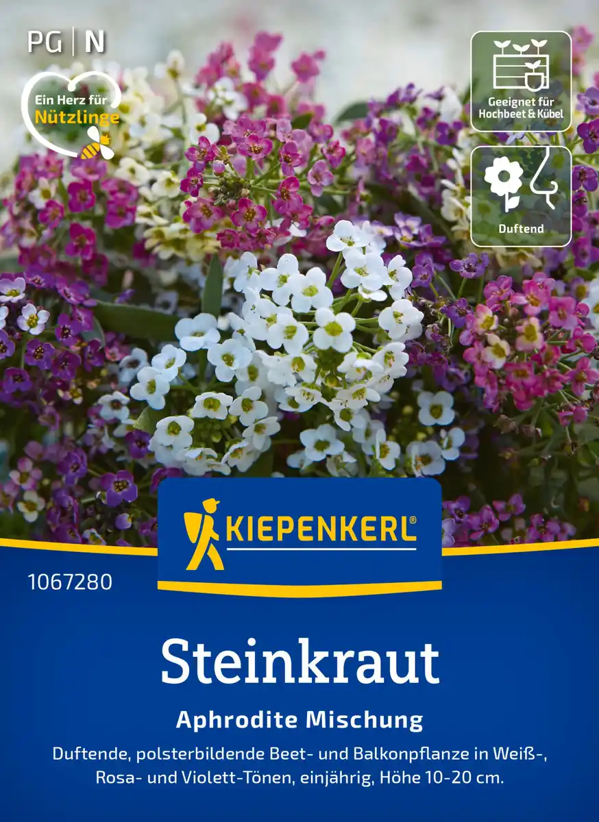 Bild 1 von Kiepenkerl Blumensamen Steinkraut Aphrodite Mischung für ca. 50 Pflanzen