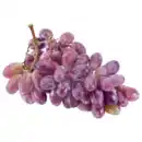 Bild 1 von Südafrika/Namibia Tafeltrauben kernlos