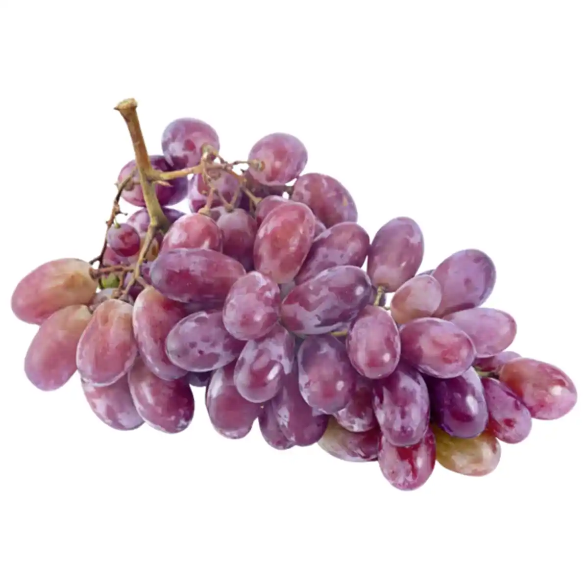 Bild 1 von Südafrika/Namibia Tafeltrauben kernlos