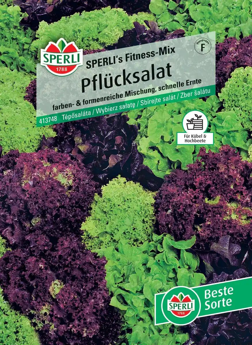Bild 1 von Sperli Pflücksalat Sperli 's Fitness-Mix