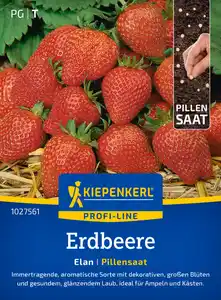 Kiepenkerl Profi-Line Saatgut Erdbeere Elan F1 Pillensaat für ca. 6 Pflanzen