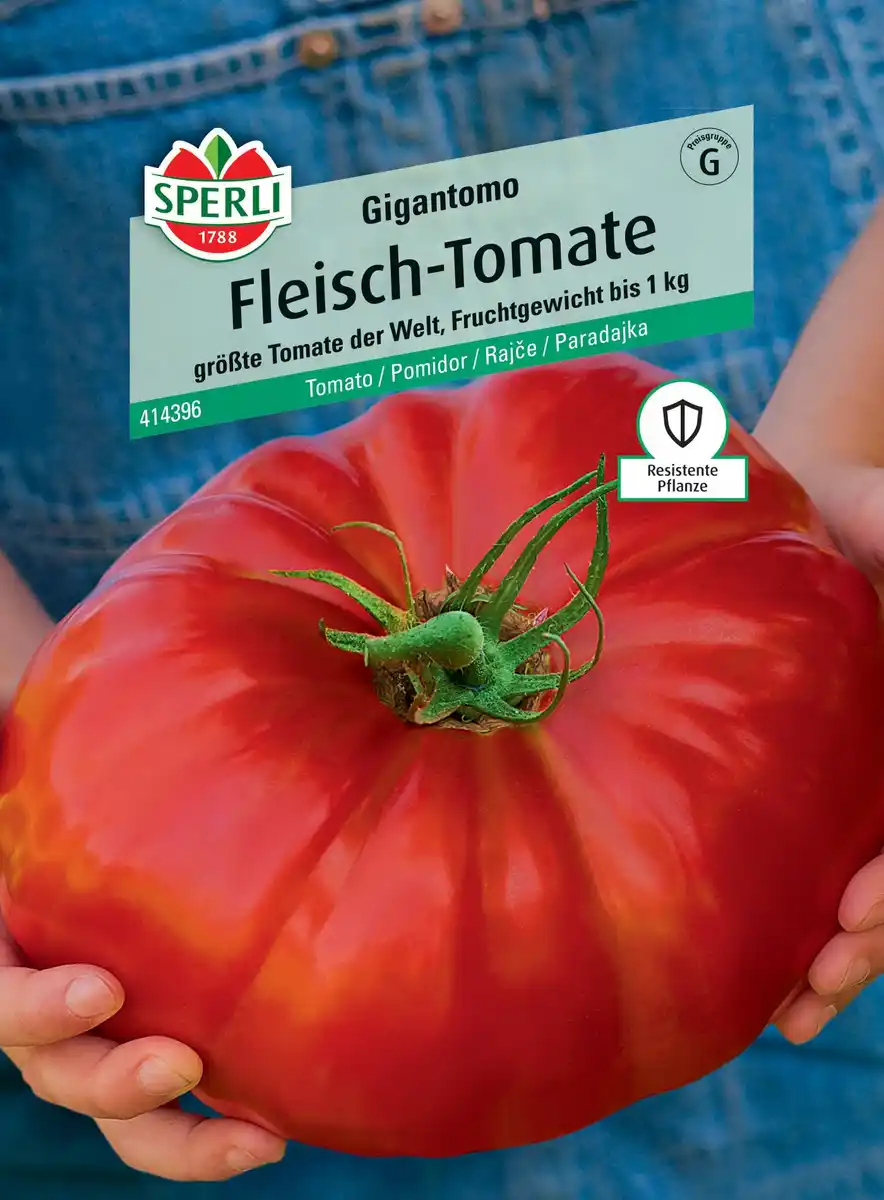 Bild 1 von Sperli Fleisch-Tomate Gigantomo F1