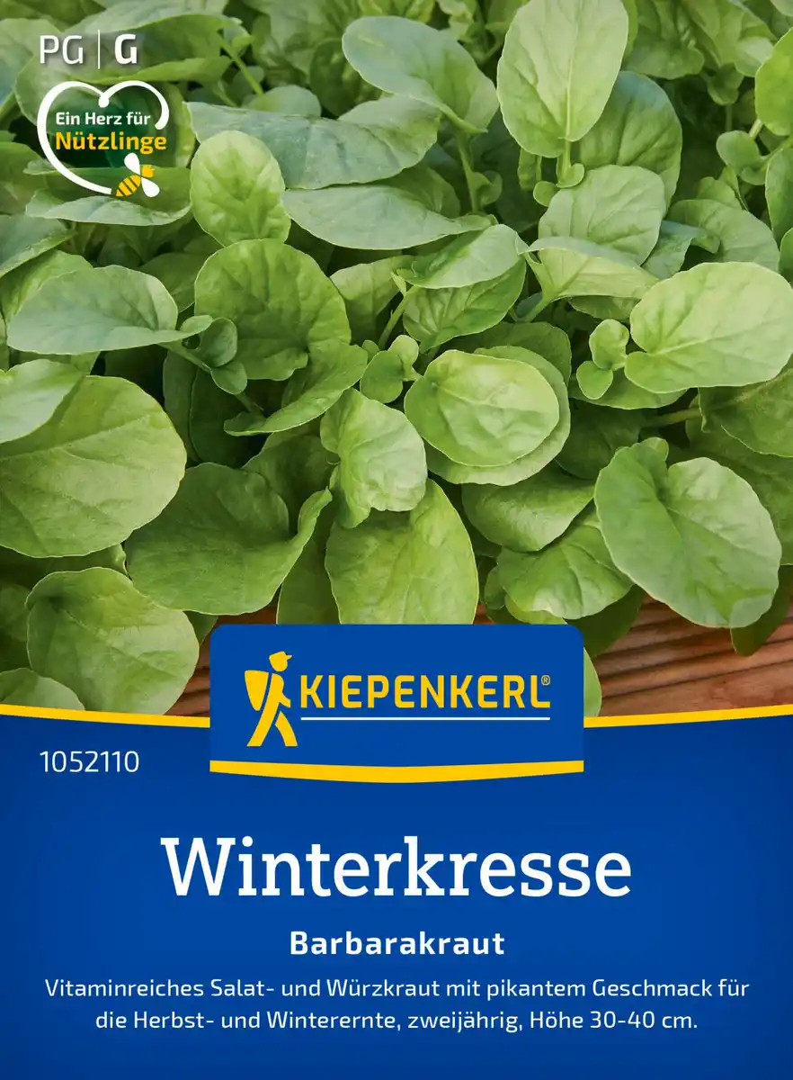 Bild 1 von Kiepenkerl Saatgut Winterkresse Barbarakraut für ca. 500 Pflanzen