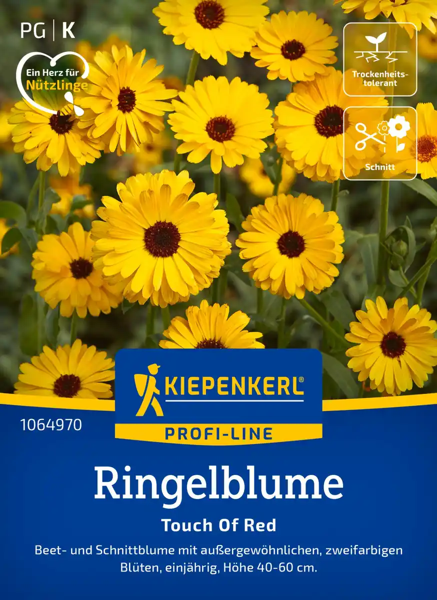 Bild 1 von Kiepenkerl Profi-Line Blumensamen Ringelblumen Touch Of Red für ca. 80 Pflanzen